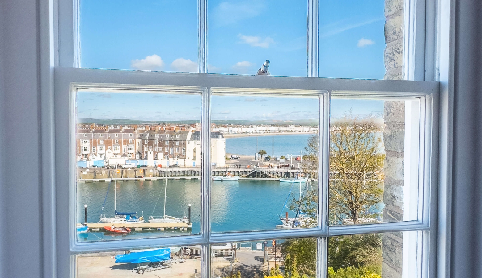 View from Dining Room