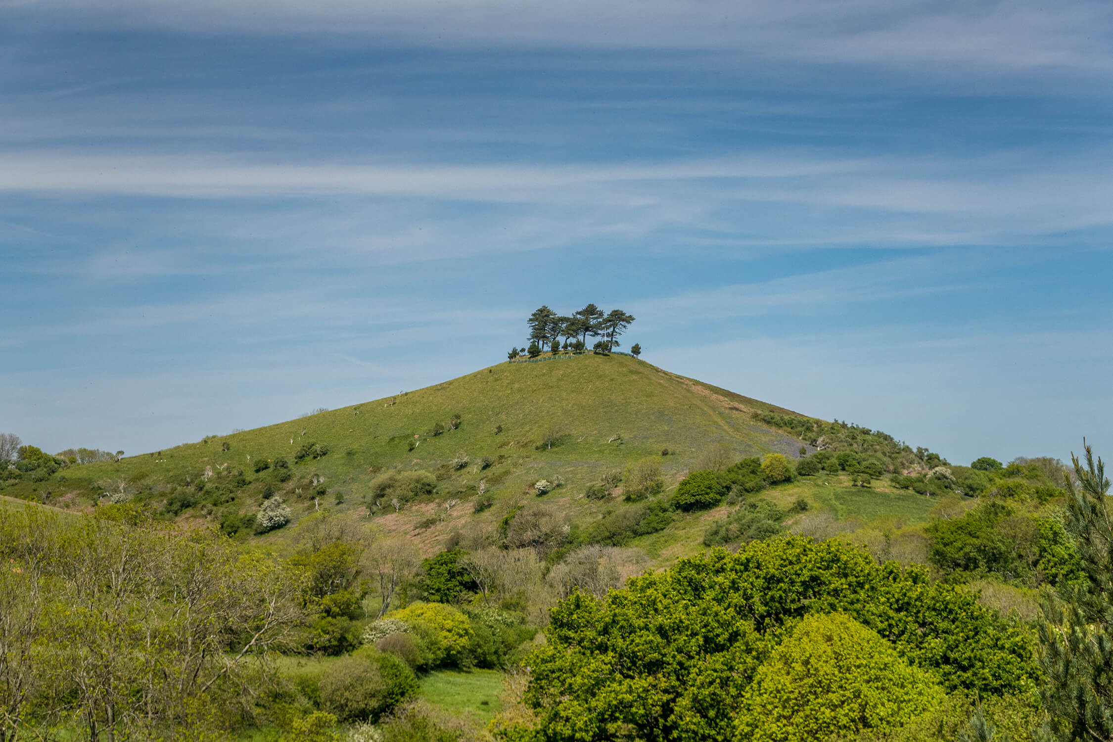 Colmers Hill 