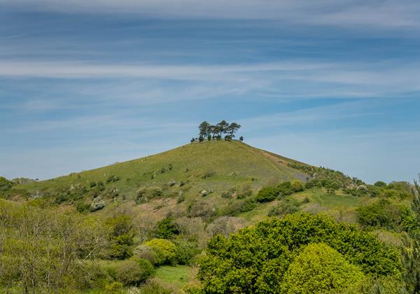 Colmers Hill James Loveridge Photography