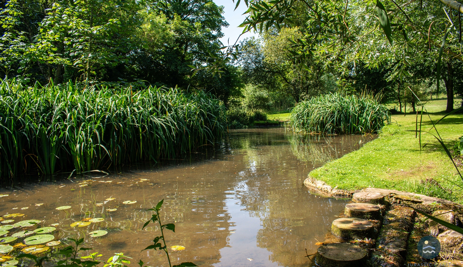 Pond in the grounds of Dorset Manor House