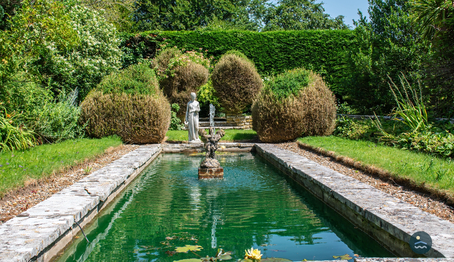 Lily Pond