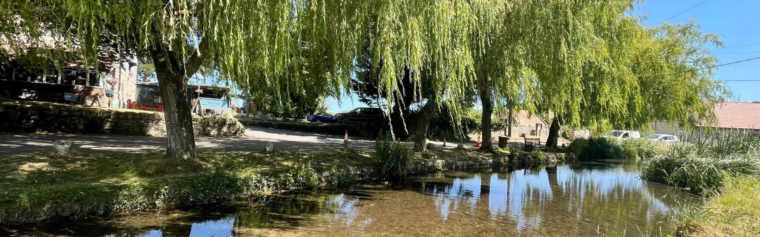 Sutton Poyntz Duck Pond