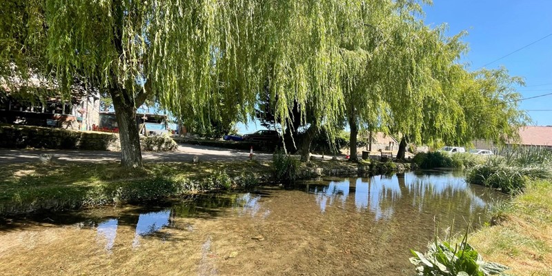 Sutton Poyntz Duck Pond