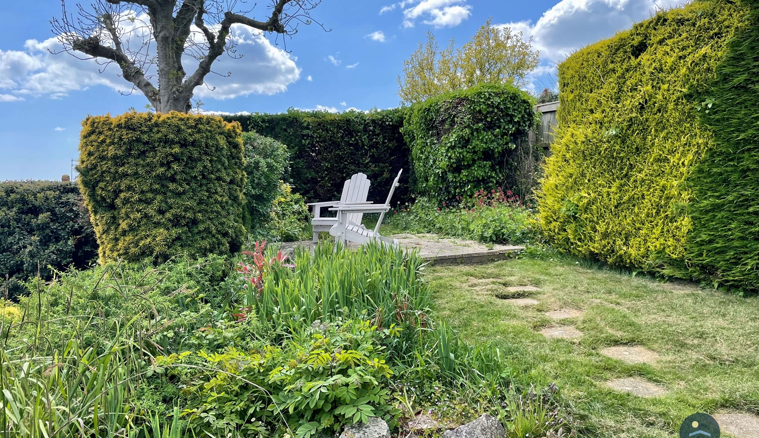 Lawn Area
