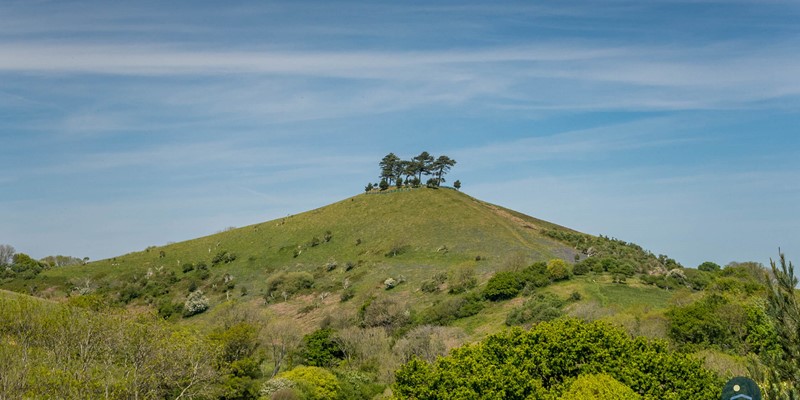 Colmers Hill